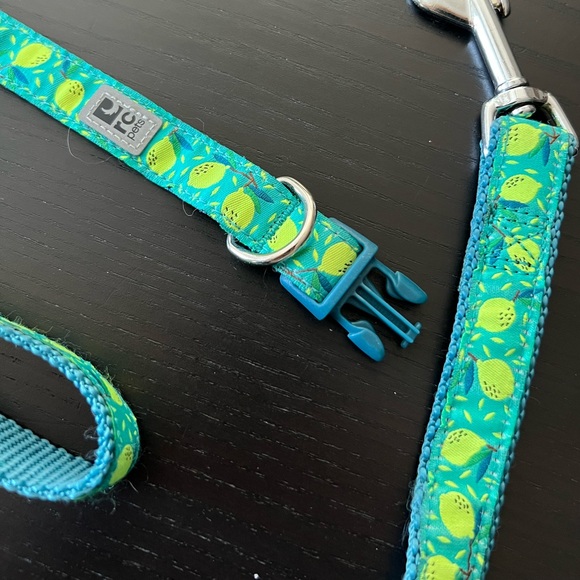 NWOT Small dog collar and leash set - Picture 3 of 5